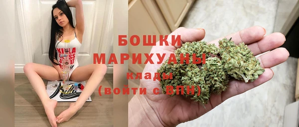 прущие грибы Покачи