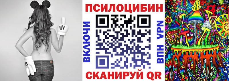 Галлюциногенные грибы Cubensis  как найти   Белово 